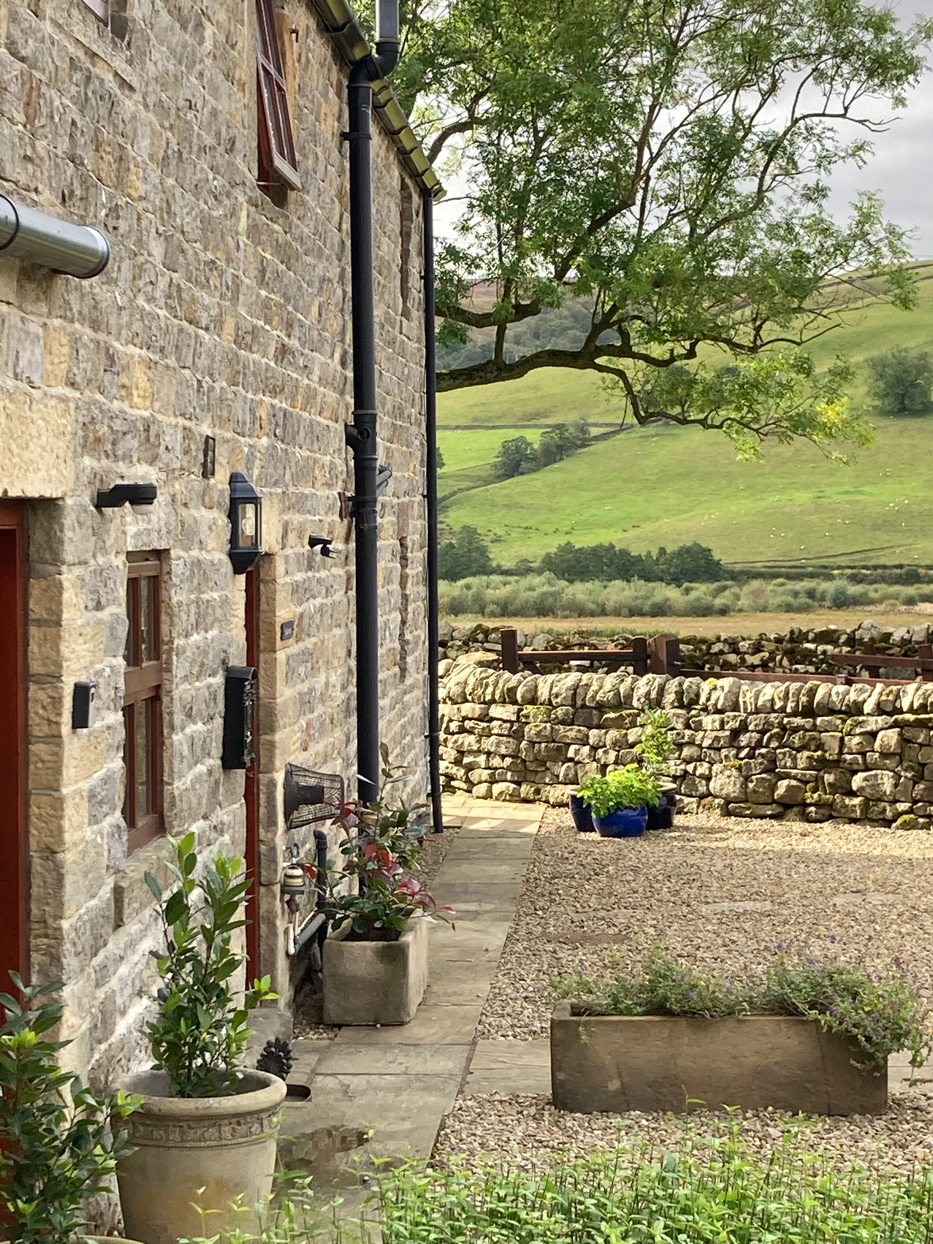 Covill Cottages garden